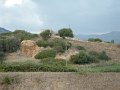 41 karges Land